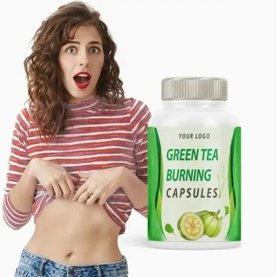 Natural Plant Extracts Fat Burning Capsules For Effective Weight Loss Support