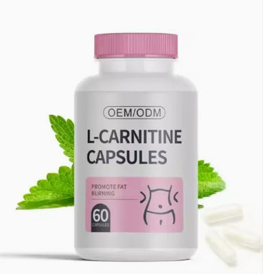 Slimming Capsules Fat Burner Pills Weight Losser L-Carnitine Capsules Supplement Natural L-Carnitine Capsule
