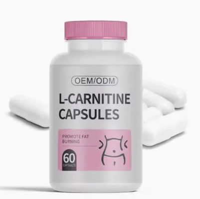 L-Carnitine Support Weight Loss Management Fat Metabolism Slimming Capsule L-Carnitine Capsules
