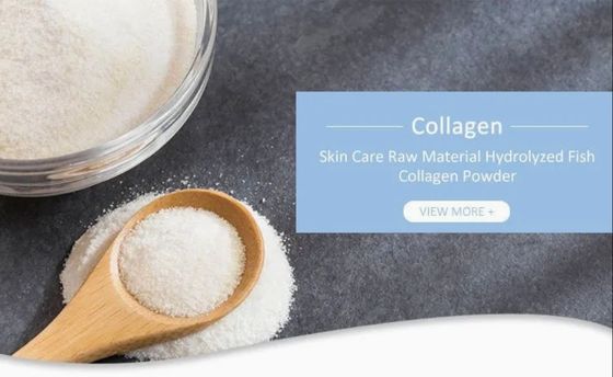 Custom Collagen Formula Organic Hydrolyzed Collagen Peptides Powder