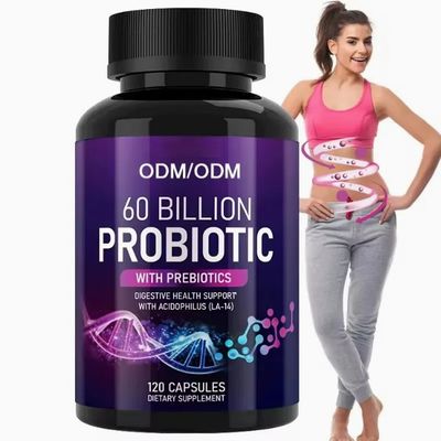 OEM Organic Gut Health Probiotics Supplements For Women Help To Regulate Immunity