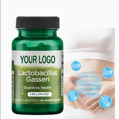 lactobacillus - Vegetarian Probiotic Supplement Supports Digestive Health Supports Belly Fat Burner Capsules
