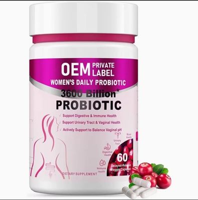 Women's Probiotics Capsules Digestive Enzymes Supplement For Immune Health Gut And Vaginal