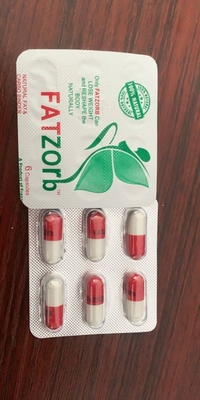 Fatzorb Capsules Fat Burner Pills Plant Extract for Weight Loss Natural herbs 