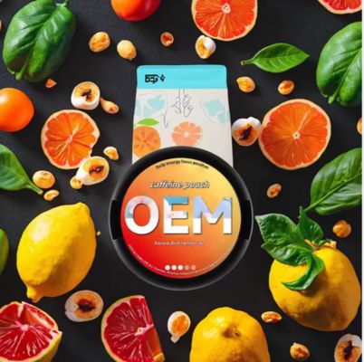 Customized Plastic Nicotine Pouches ,Portable Snus Alternative for Smokers, ZYN VELO FOX PABLO KILA In-Stock Discount Promotion